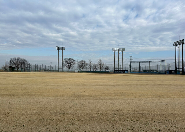 豊田球場